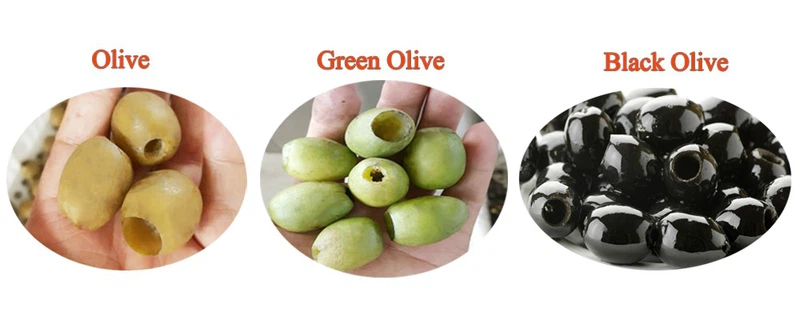 Fruit Pitting Machine Fruit Pitting Machine