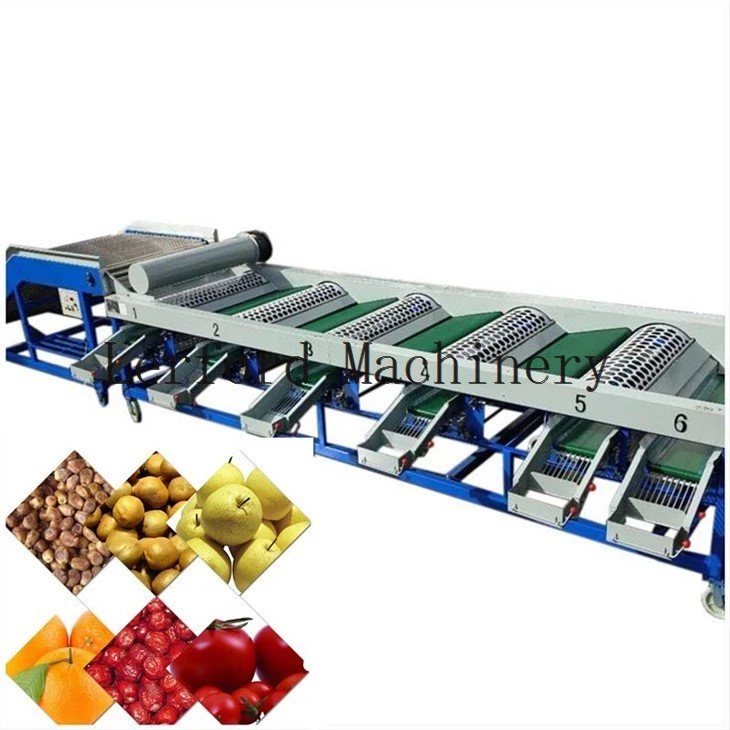 apple sorting sizing and grading
